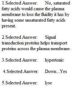 Online Assignment B- Chapters 7 & 8 (Part II)